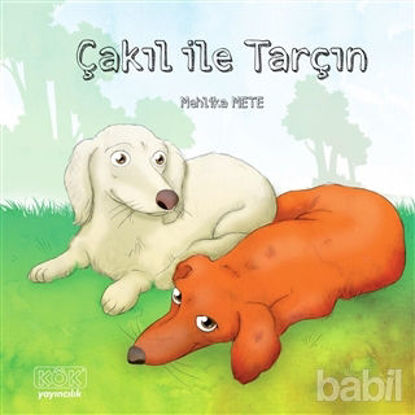 Picture of Çakıl ile Tarçın