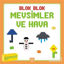 Picture of Blok Blok Mevsimler ve Hava