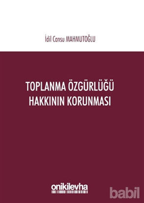 Picture of Toplanma Özgürlüğü Hakkının Korunması