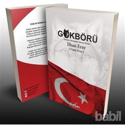 Picture of Gökbörü