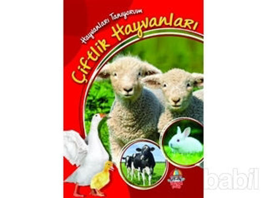Picture of Çiftlik Hayvanları - Hayvanları Tanıyorum