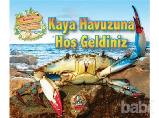 Picture of Kaya Havuzuna Hoş Geldiniz