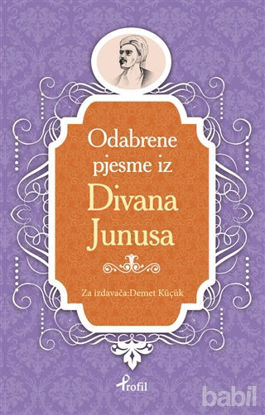 Picture of Yunus Emre - Boşnakça Seçme Hikayeler