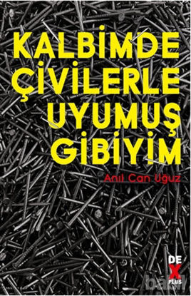 Picture of Kalbimde Çivilerle Uyumuş Gibiyim