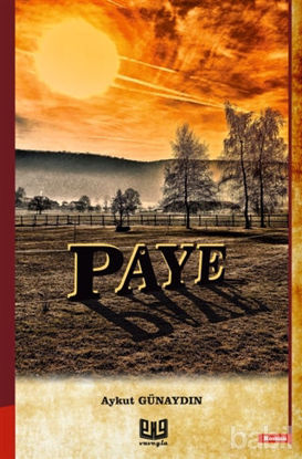 Picture of Paye