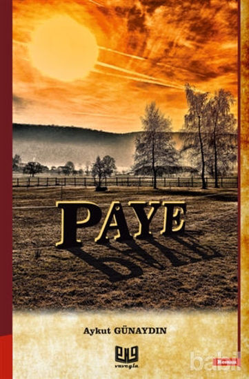 Picture of Paye