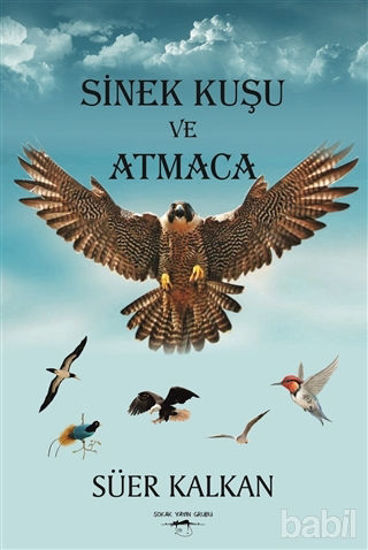 Picture of Sinek Kuşu ve Atmaca