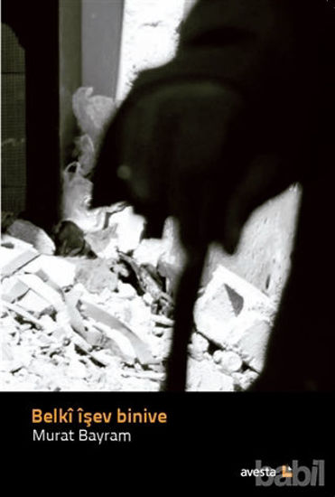 Picture of Belki İşev Binive