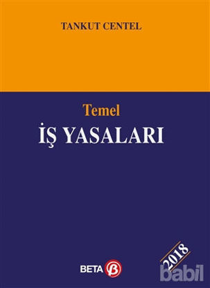 Picture of Temel İş Yasaları
