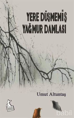 Picture of Yere Düşmemiş Yağmur Damlası