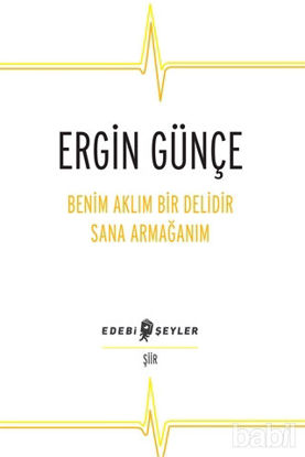 Picture of Benim Aklım Bir Delidir Sana Armağanım