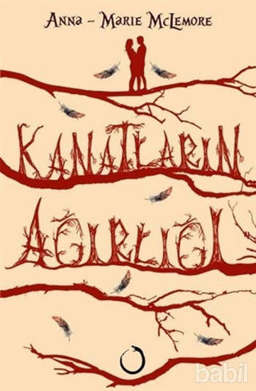 Picture of Kanatların Ağırlığı