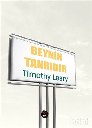 Picture of Beynin Tanrıdır