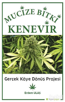 Picture of Mucize Bitki Kenevir