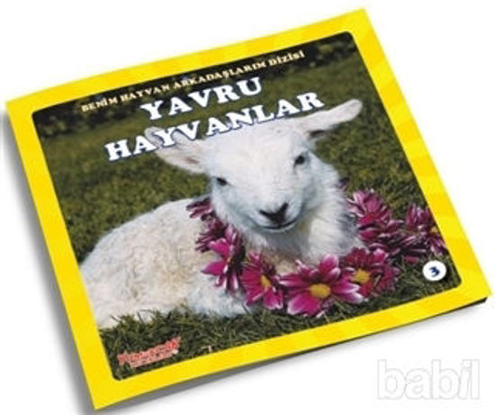 Picture of Yavru Hayvanlar - Benim Hayvan Arkadaşlarım Dizisi 3