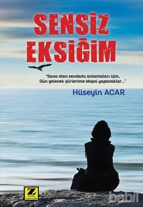 Picture of Sensiz Eksiğim