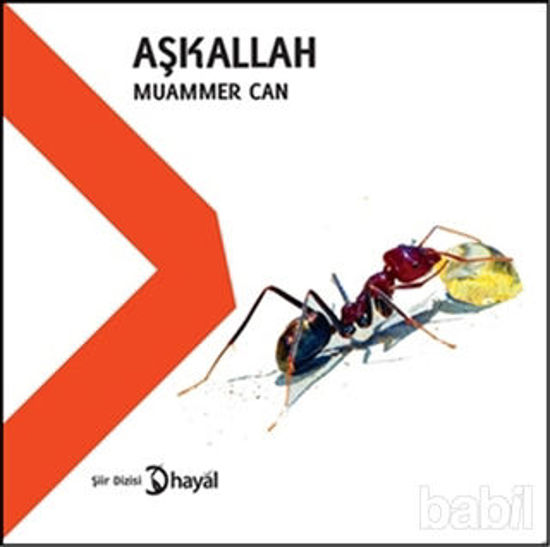 Picture of AşkAllah