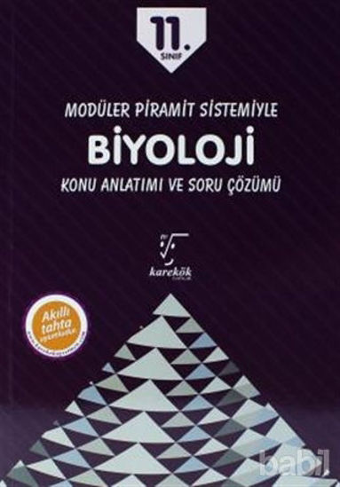Picture of 11. Sınıf Modüler Piramit Sistemiyle Biyoloji Konu Anlatımı