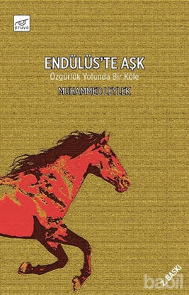 Picture of Endülüs'te Aşk