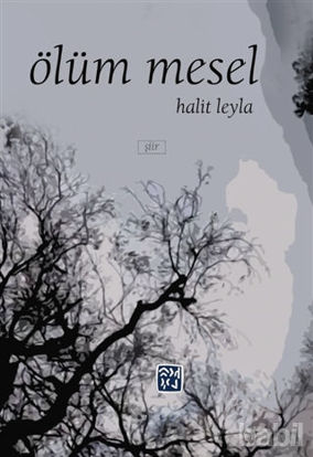 Picture of Ölüm Mesel