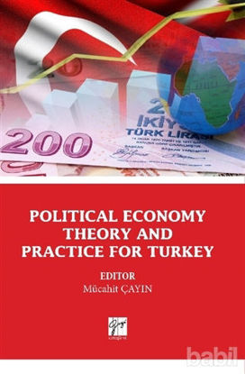 Picture of Political Economy Theory And Practice For Turkey