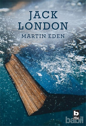 Picture of Martin Eden