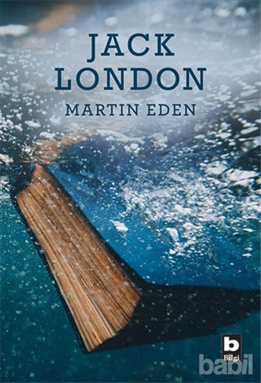 Picture of Martin Eden