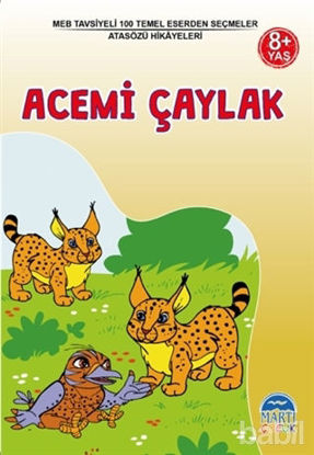 Picture of Acemi Çaylak