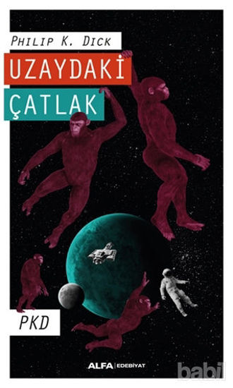 Picture of Uzaydaki Çatlak