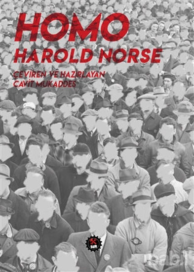 Picture of Homo Harold Norse