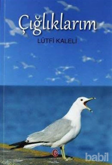 Picture of Çığlıklarım