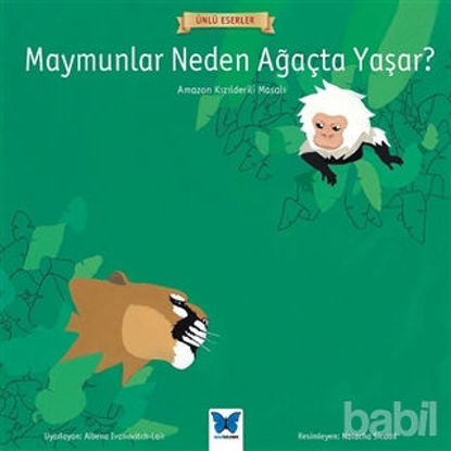 Picture of Maymunlar Neden Ağaçta Yaşar?