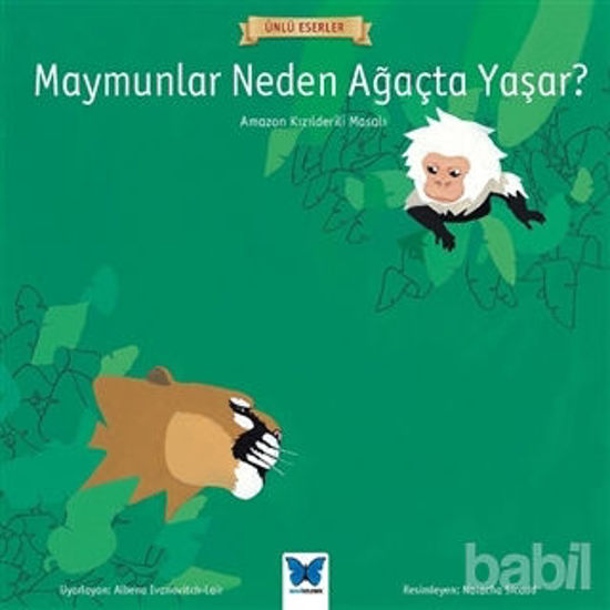 Picture of Maymunlar Neden Ağaçta Yaşar?