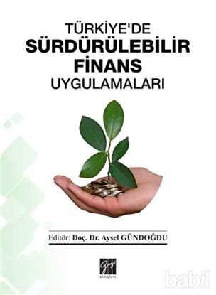 Picture of Türkiye'de Sürdürülebilir Finans Uygulamaları