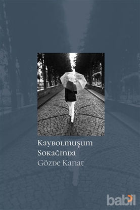 Picture of Kaybolmuşum Sokağında