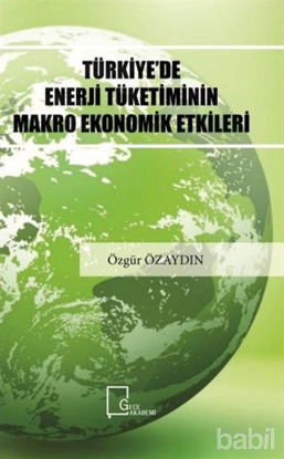 Picture of Türkiye'de Enerji Tüketiminin Makro Ekonomik Etkileri