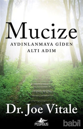 Picture of Mucize