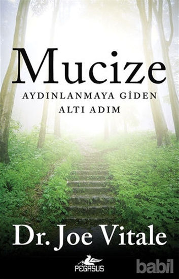 Picture of Mucize