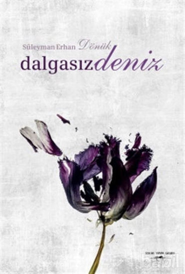 Picture of Dalgasız Deniz