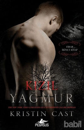 Picture of Kızıl Yağmur - Firar 2.Kitap