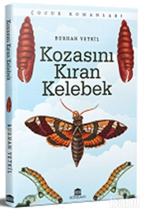 Picture of Kozasını Kıran Kelebek