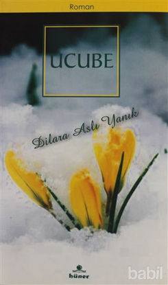 Picture of Ucube
