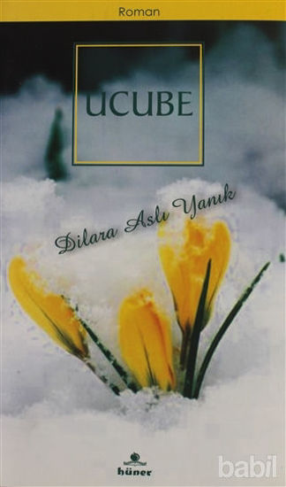 Picture of Ucube
