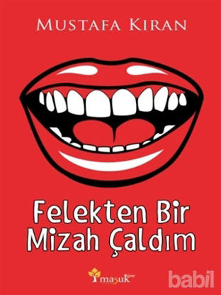 Picture of Felekten Bir Mizah Çaldım