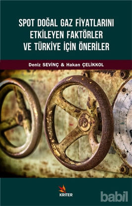 Picture of Spot Doğal Gaz Fiyatlarını Etkileyen Faktörler ve Türkiye İçin Öneriler