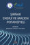 Picture of Şırnak Enerji ve Maden Potansiyeli