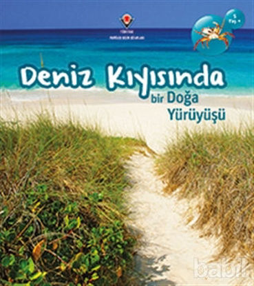 Picture of Deniz Kıyısında Bir Doğa Yürüyüşü