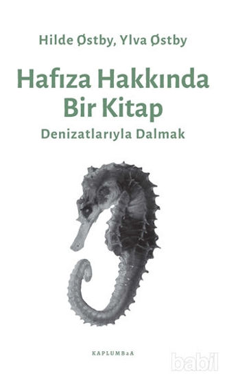 Picture of Hafıza Hakkında Bir Kitap
