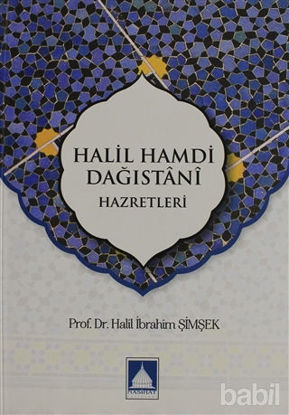 Picture of Halil Hamdi Dağıstani Hazretleri