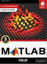 Picture of Matlab